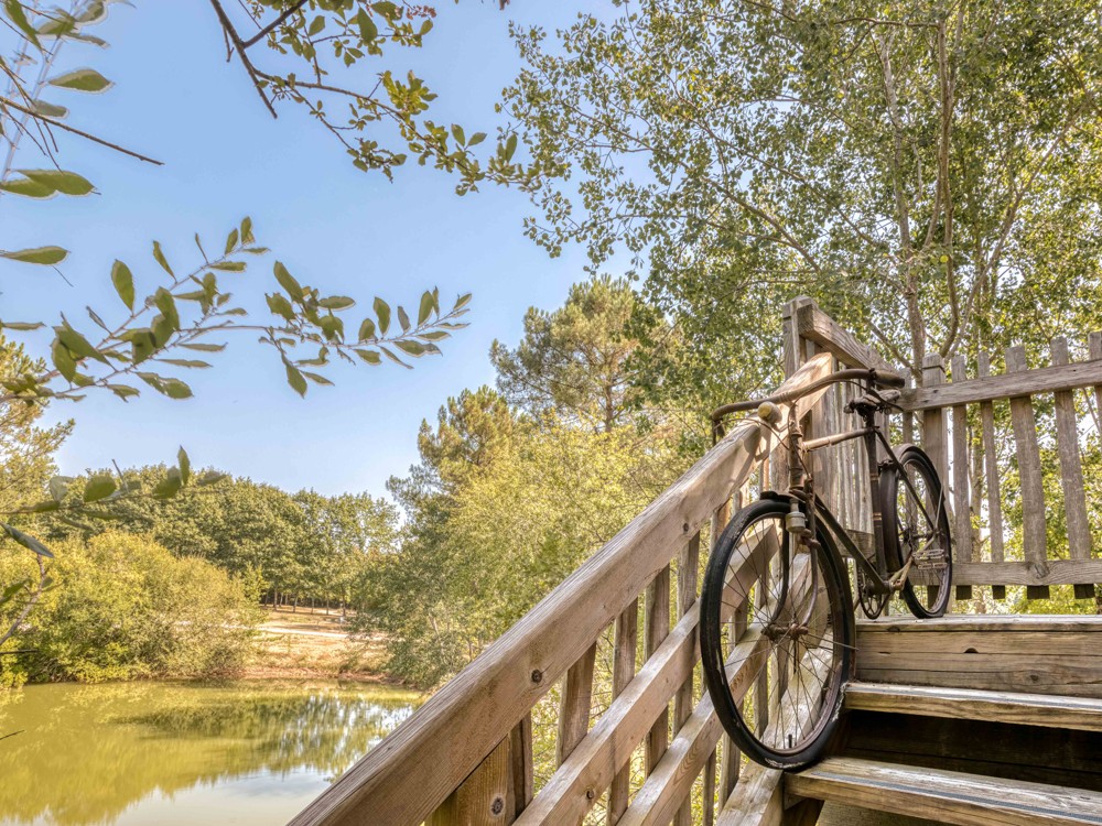 Le séjour de la cabane Aquitaine