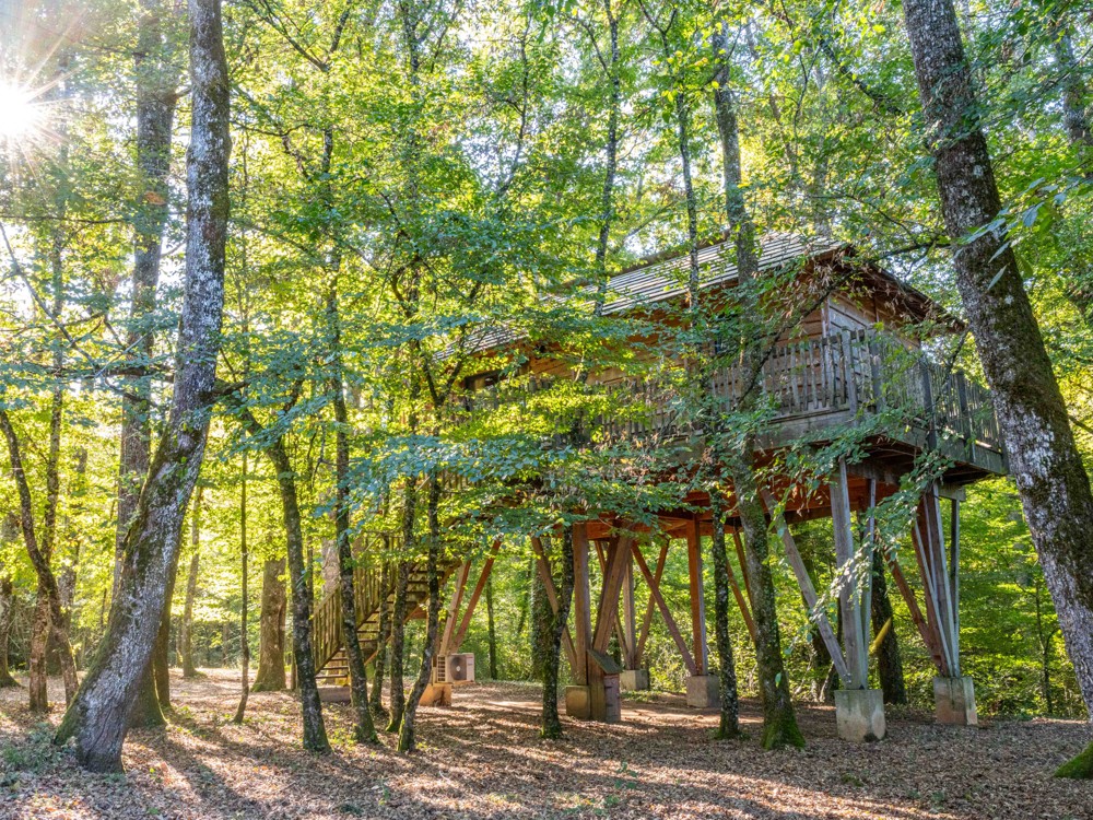 Les bois à l'extérieur de la cabane Pyrénées